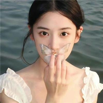 鹡鸰女神第一季
