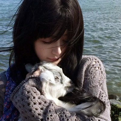 狗狗间谍